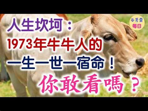 1973 屬牛|【1973牛】揭開1973年牛寶寶的五行之謎！屬牛人生運勢大公開